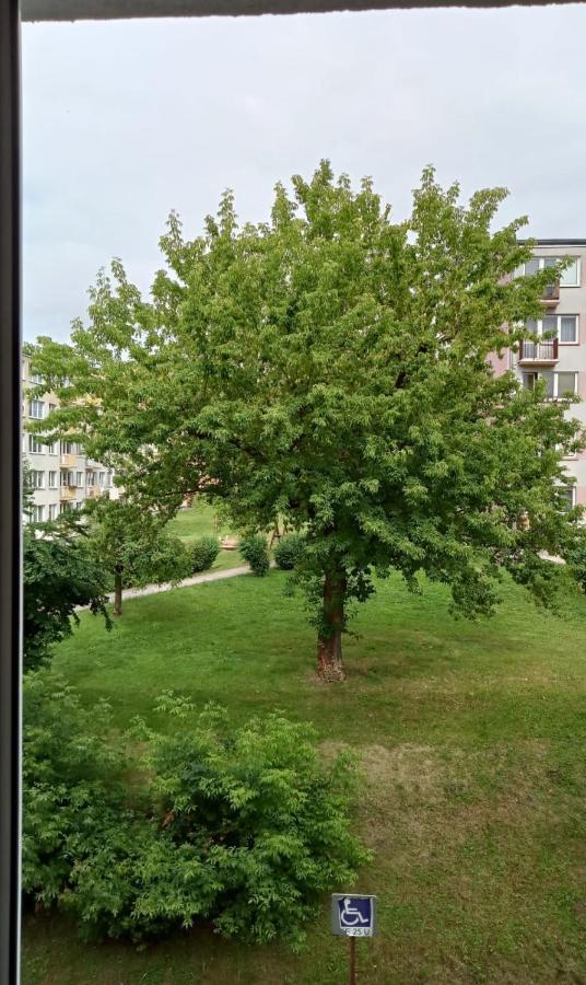 Apartament Mazury Kętrzyn Exterior foto